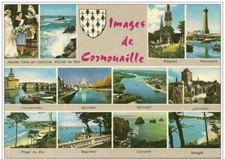 J 41 / DPT 29 CPSM IMAGES DE CORNOUAILLE MULTIVUES VILLES