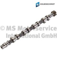 Nockenwelle Kolbenschmidt 50007124 Auslassseite FüR Renault