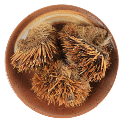 Authentic Chinese Ciweipi Hedgehog Skin 50g Natural Herbal Care