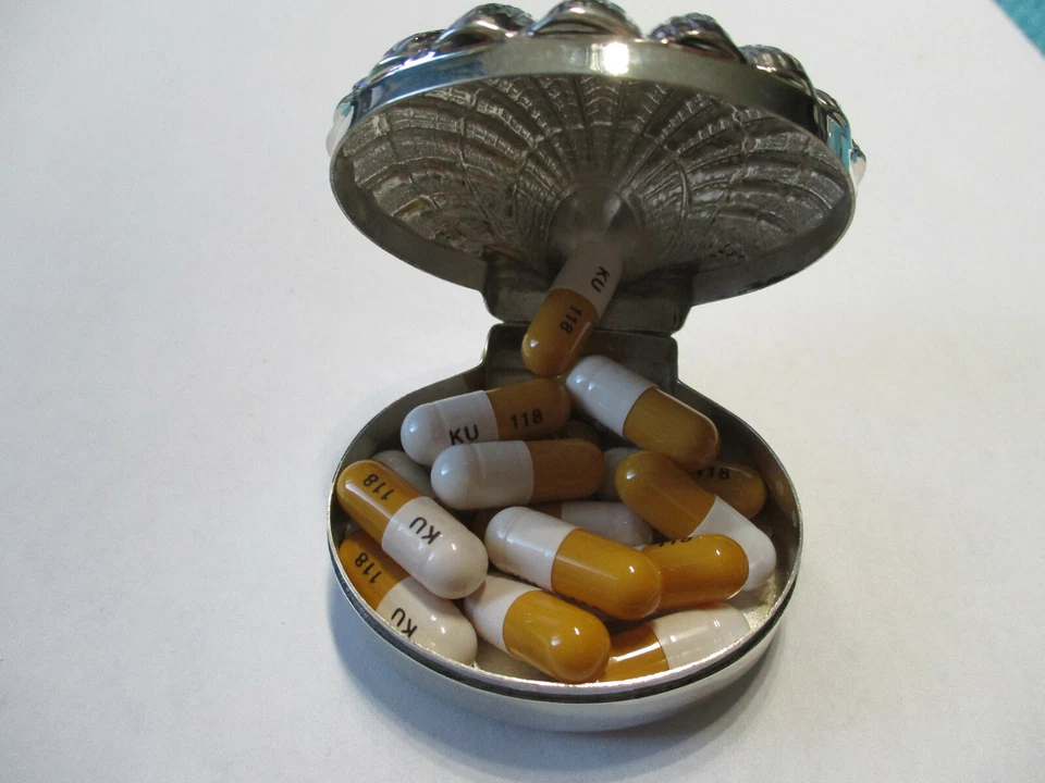 Caja de pastillas grande de plata esterlina estilo concha de mar plata 925 1 3/4 largo 3/4 alto Foto 4 de 4