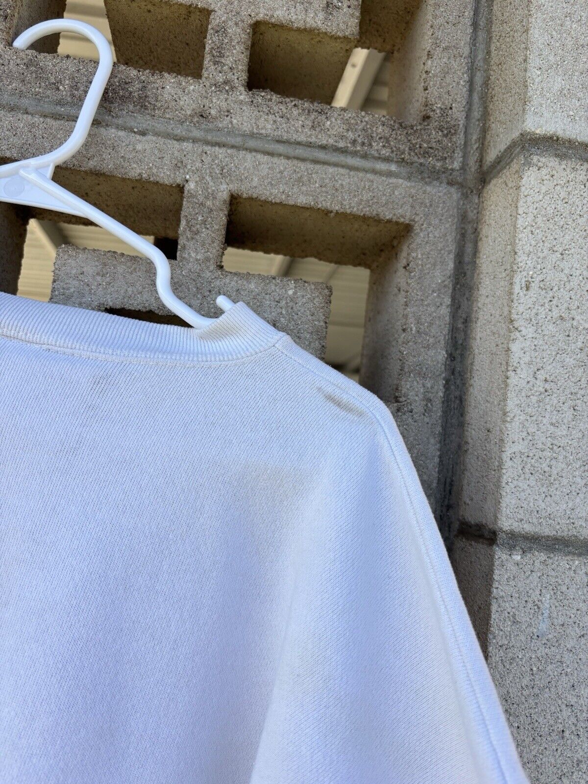 Picture 6 of 6