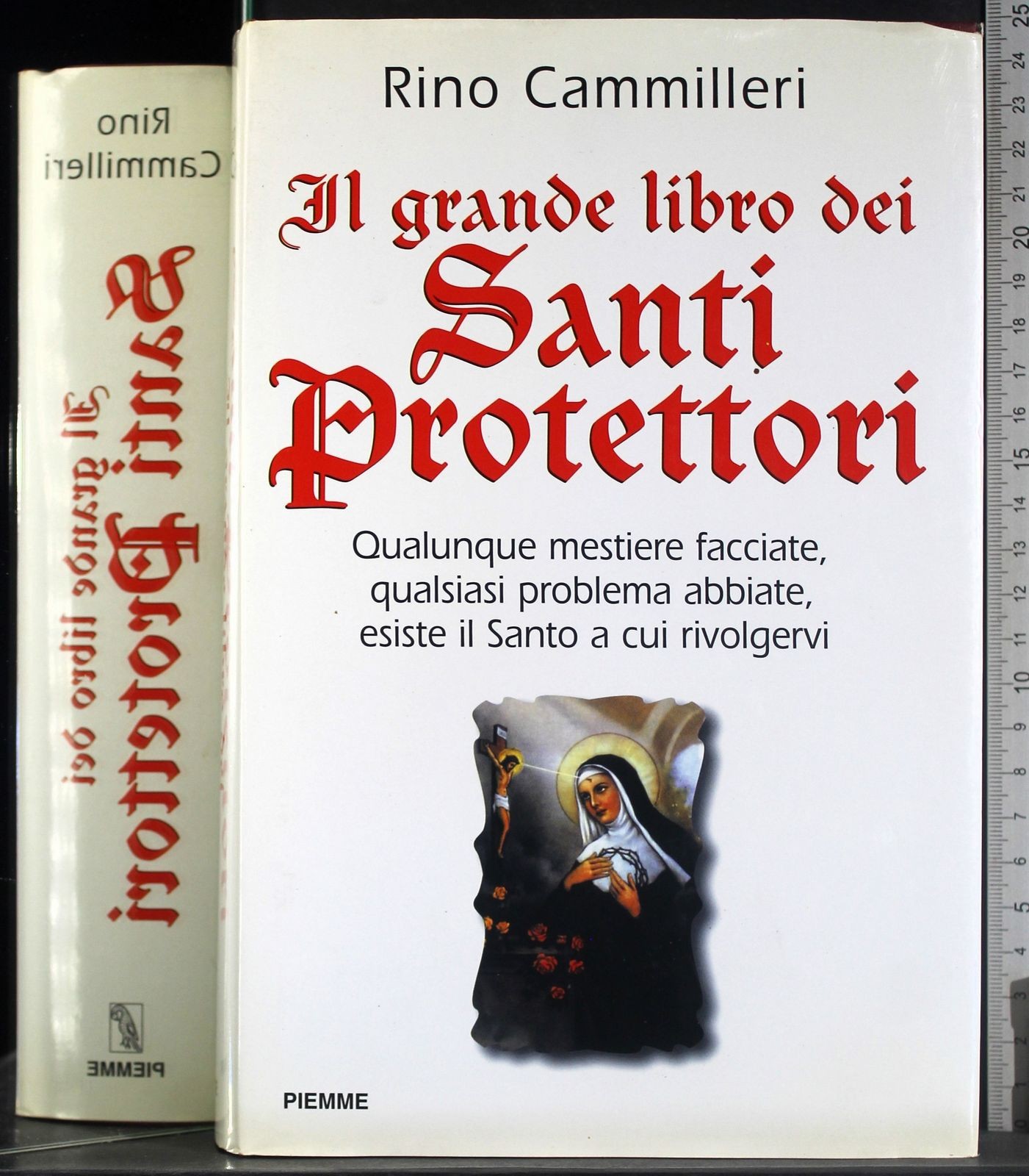 IL GRANDE LIBRO DEI SANTI PROTETTORI. RINO CAMMILLERI. PIEMME.