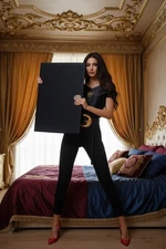 Multifunctional Lightweight Portable Personal Bulletproof Shield 25"x17" NIJ 3A