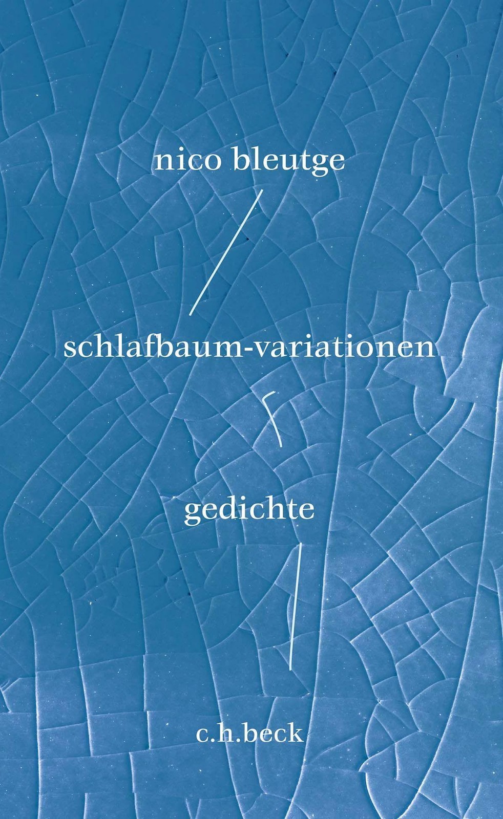 Beck C.h. Schlafbaum-Variationen, Belletristik Von Nico Bleutge - Bild 3