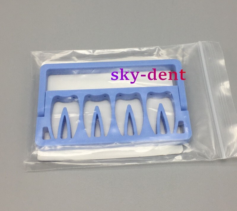 1x Blue 8 Holes Dental Endodontic Root Canal File Holder