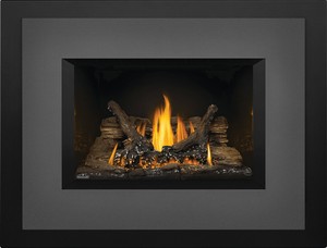 Napoleon Gdix3n Oakville Gas Fireplace Direct Vent Insert Natural