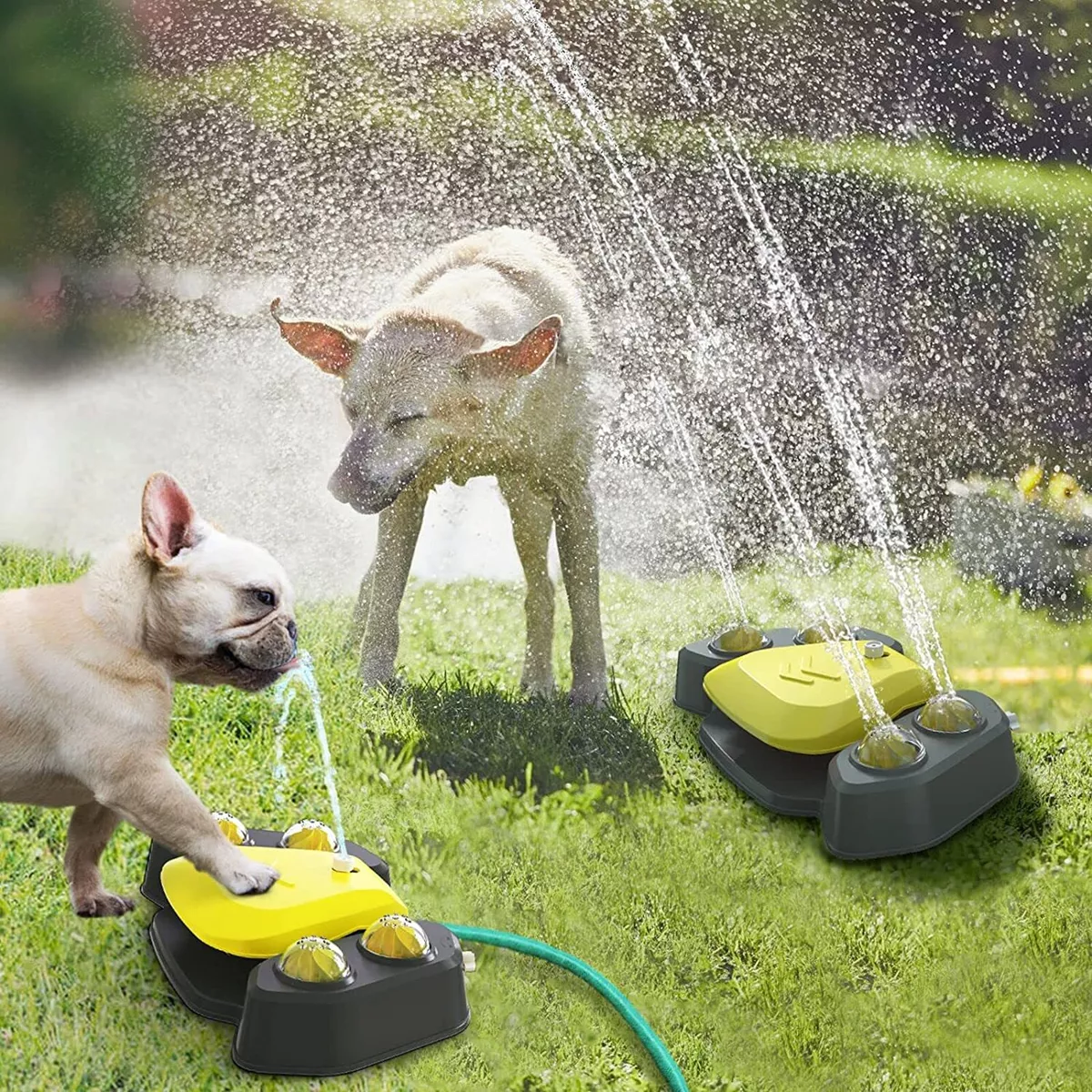 Dog sprinkler paw activated sale