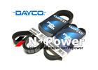 <!--F#f_0-->DAYCO DRIVE FAN BELT SET FOR HOLDEN COMMODORE VE SS L98 V8 6.0L 06-10<!--F/-->