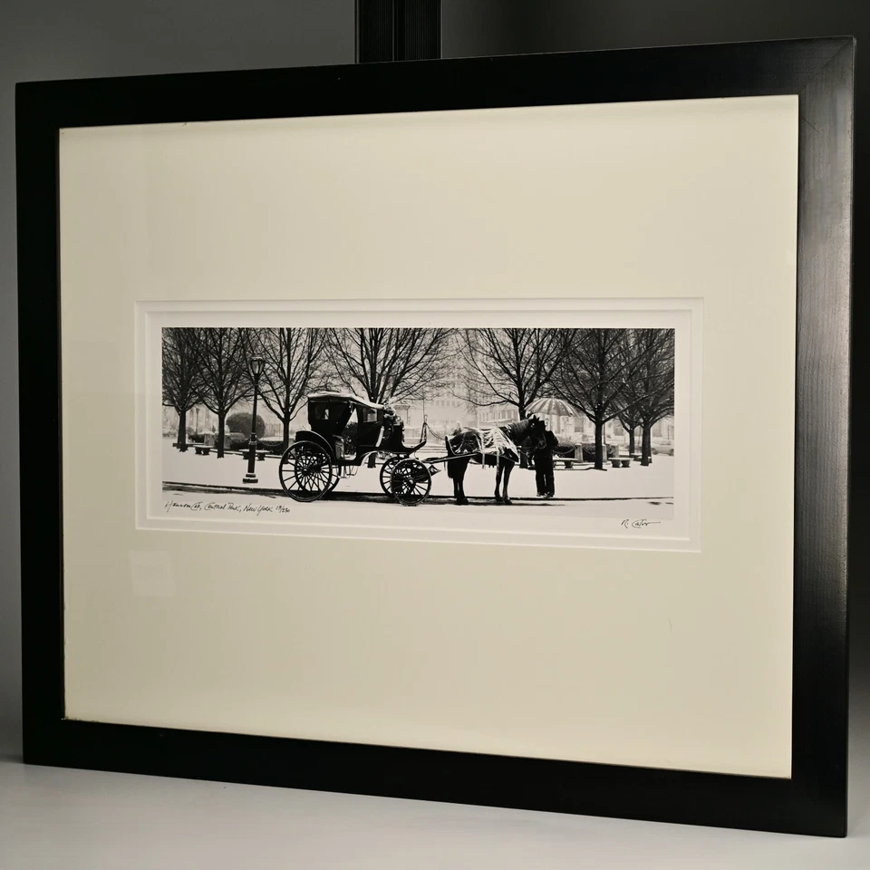 Fotografía de carruaje de caballos de Central Park NY original firmada de colección de Richard Calvo Foto 4 de 4