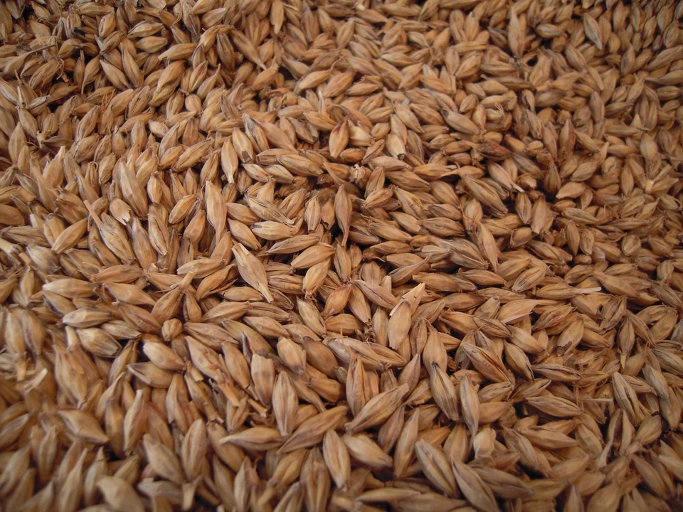 Granos de cerveza premium para whisky bourbon real / Moonshine y levadura - ¡Envío GRATIS! Foto 4 de 4