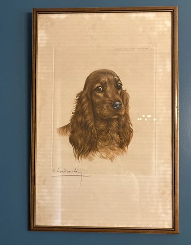 Leon Danchin "Red Cocker’s Head"Genuine Original French Etching 1938 Framed