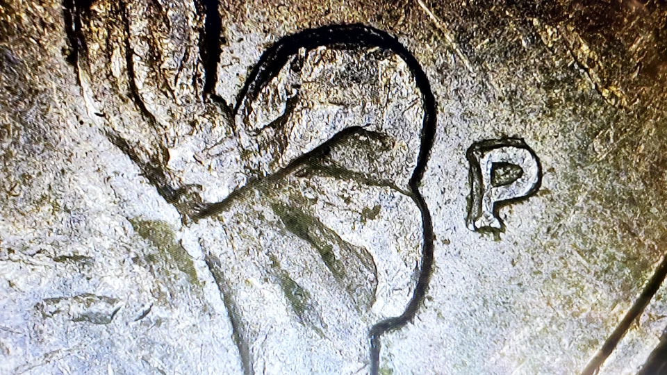 Rare 1998-P Washington Quarter with Doubled Die Obverse (DDO) Error, "IN COD WE  - Image 4 of 4