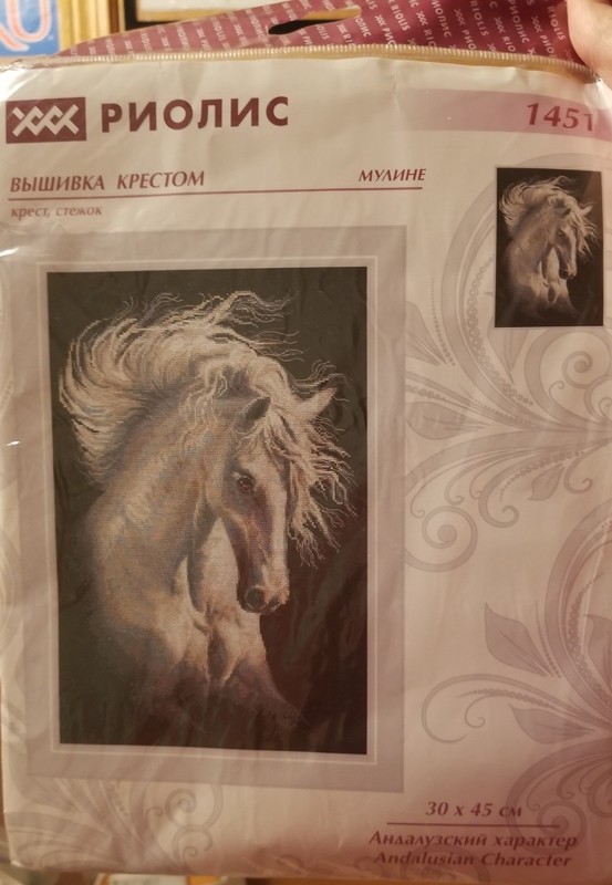 Andalusian Character Counted Cross Stitch Kit Riolis NEW horse wild equine mane
