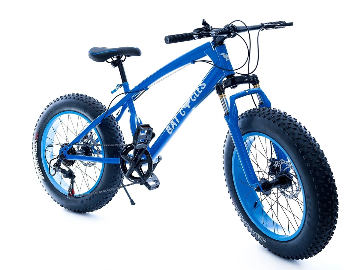 Blue Kids Fat Bike 20