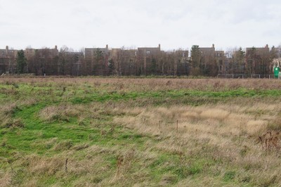 Foto 6x4 Teure Neubauten Trumpington Hinter der Baumgrenze - der Ang c2015