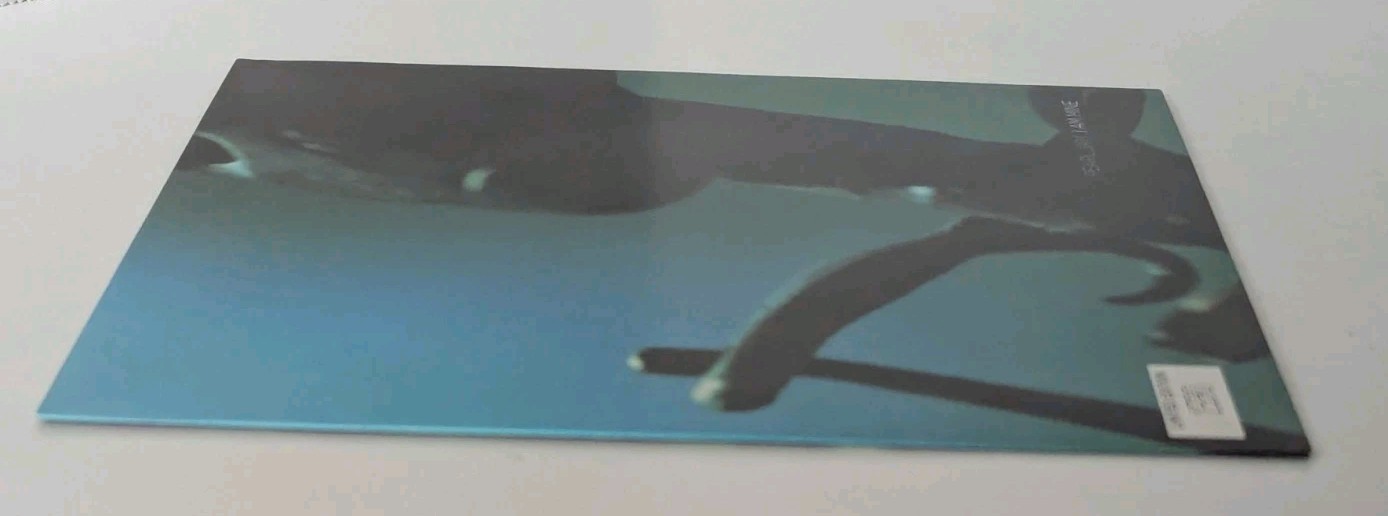 Picture 13 of 13