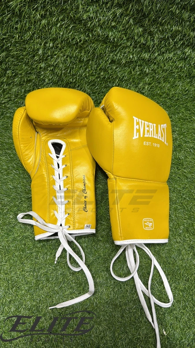 Everlast 10 oz. Weight Boxing Gloves for sale | eBay