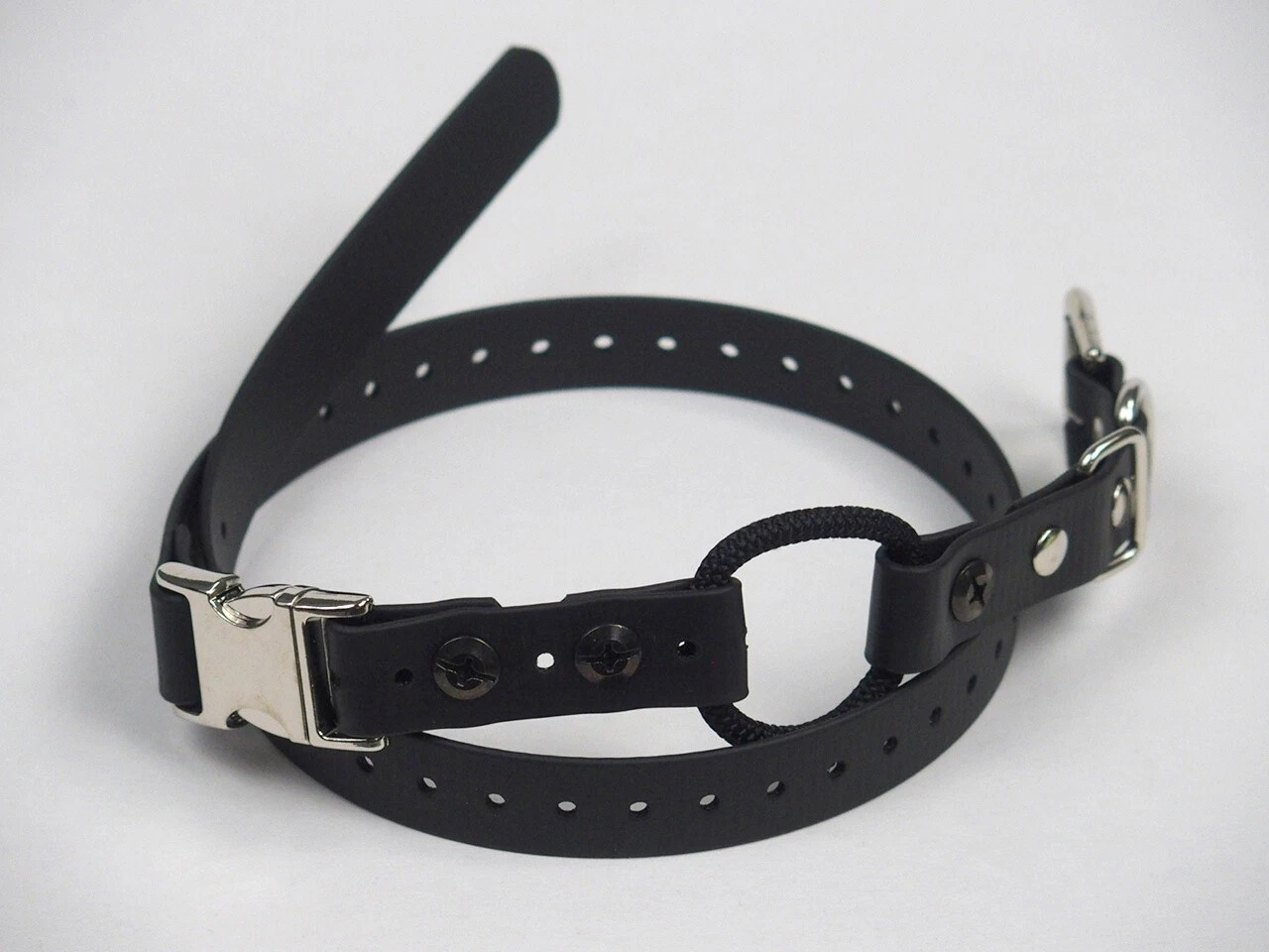 Educator 3/4" Polyester Quick Snap Dog Bungee E-collar Strap also fits Dogtra
Opens in a new window