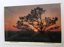 Purgatory Mountain Blue Ridge Parkway Virginia Postcard