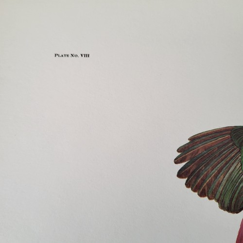 Ray Harm Limited Edition Hand Signed Print Painted Bunting 1963 Plate - Picture 7 of 10