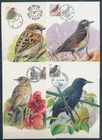 XE60234 Belgium 1994 -1997 animals fauna flora birds maxicards used