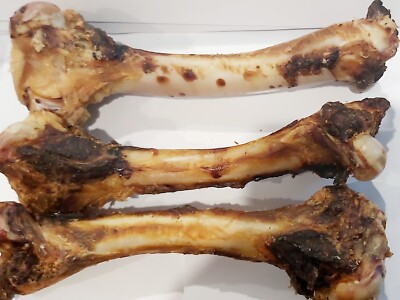 LAMB FEMUR BONES X 20 Dog Treats, Dehydrated - Free Post AUST BONES ...