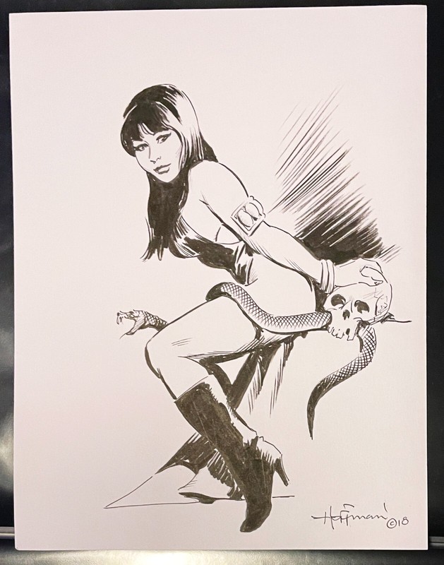 MIKE HOFFMAN Original Art Girl w/ Snake & Skull Frazetta style Vampirella pinup