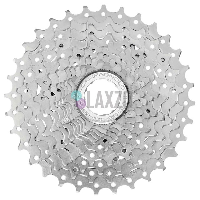 ebay campagnolo