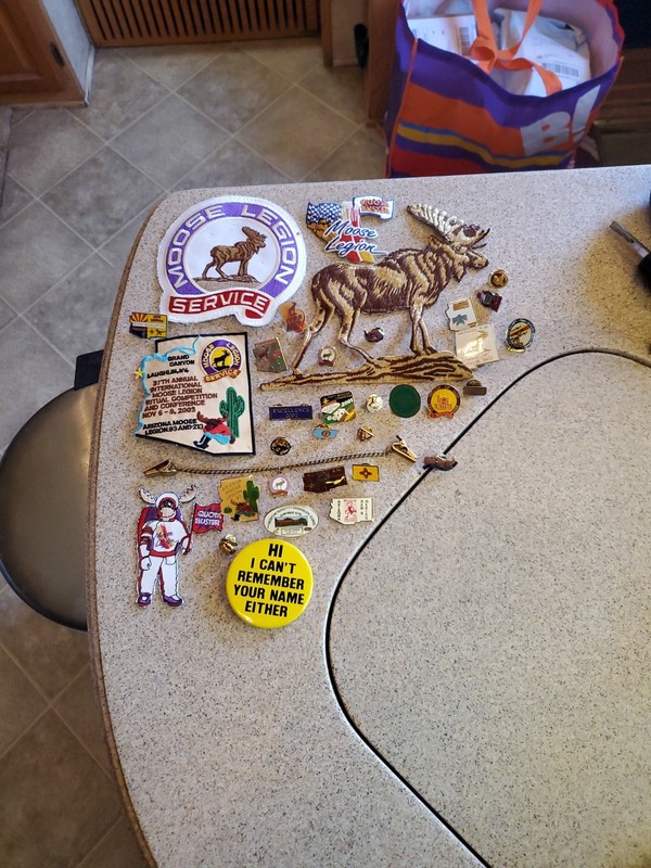 Enormous Vintage Moose Lodge 5 Patches , 27 Pins And A Button. 1993 Thru 2002?