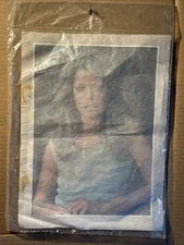 Vintage 1977 FARRAH FAWCETT Iron On Transfer - Charlie's Angels NOS Pro Arts