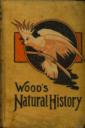 Illustrated Natural History (Animals and Birds) 1911 Rev J. G. Wood - 第 1/4 張圖片