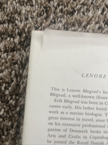 RARE Lenore & Erik Blegvad 1965 Mr Jensen & Cat Hardcover + Dust Jacket 1st Ed. - Imagen 4 de 7
