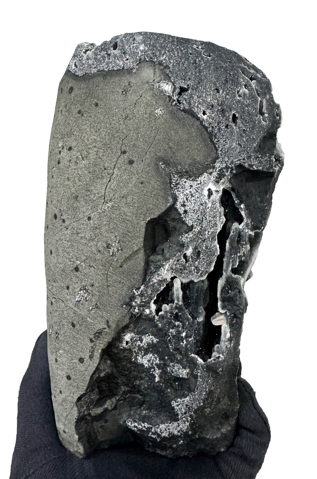 Sparkling Black Chalcedony Corals With Stilbite Crystals And Mineral Specimens