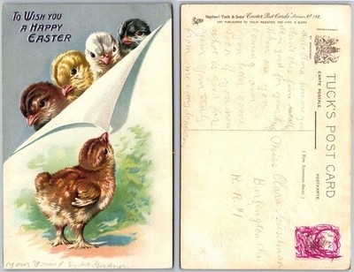 Happy Easter Chicks Illustration Postcard