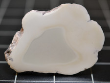 DATOLITE - WHITE EDGES WITH A TRANSLUCENT INTERIOR - KEWEENAW - CAPE MINE