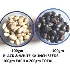 White & Black Kaunch Seeds Mucuna Pruriens Indian Velvet Bean Konch Beej 100g