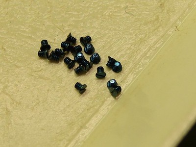 ETA 2890/92, 2893, 2894, 2895/96/97, 2892A2, 2801, 2824, 2836 blued plate screws