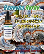  Mushroom Defense Formula: Reishi, Lions Mane, Chaga, Cordyceps & Astragalus 