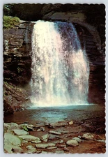 North Carolina Looking Glass Falls Vintage Postcard Continental