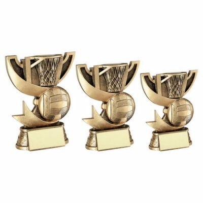 Trophée Doré 37 Cm – Coupe De Gagnant Pour Sports, Compétitions, Fêtes, événements Scolaires (adulte Et Enfant)