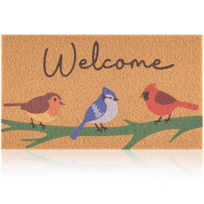 Spring Door Mat for Front Door, Welcome Mat with Vivid Cardinal Pattern, Spri.