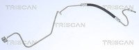 Triscan Bremsschlauch AußEn, Hinterachse, Innen, Links U.A. FüR CitroËN, DS