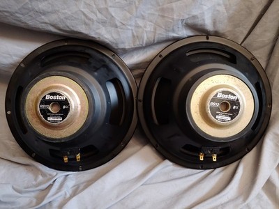 BOSTON AQUATICS サブウーファー BOSTON ACOUSTICS RALLY PAIR RS12 12