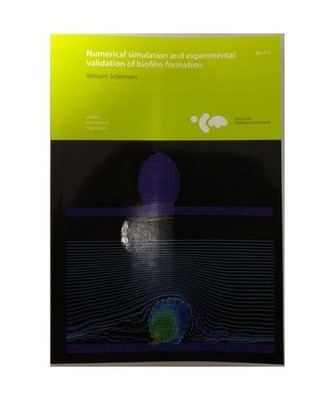 Numerical simulation and experimental validation of biofilm formation, Meisam So