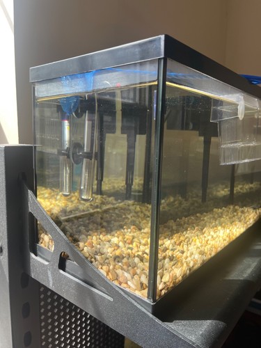 Aquarium + Heater + Filter + Fry Box. - Picture 3 of 9