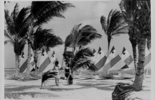 1981 Punta Cana Dominican Republic Beach Press Photo