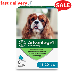 advantage for medium dogs