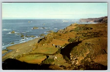 c1960s Brookings Oregon Coast Azalea State Park Postcard