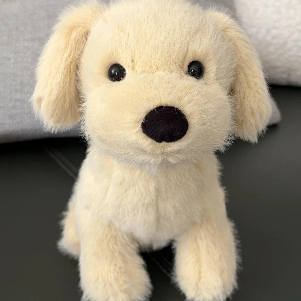 2026 New Jellycat Golden Puppy With Tags| The Perfect Gift, BNWT