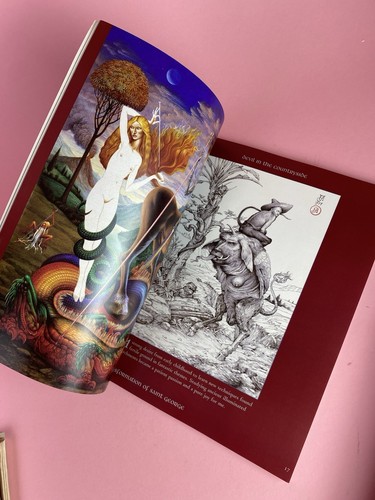 River of Mirrors - The Fantastic Art of Judson Huss 1996 1st Edition - Foto 5 di 8